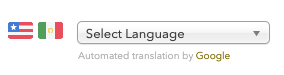 language selection icon